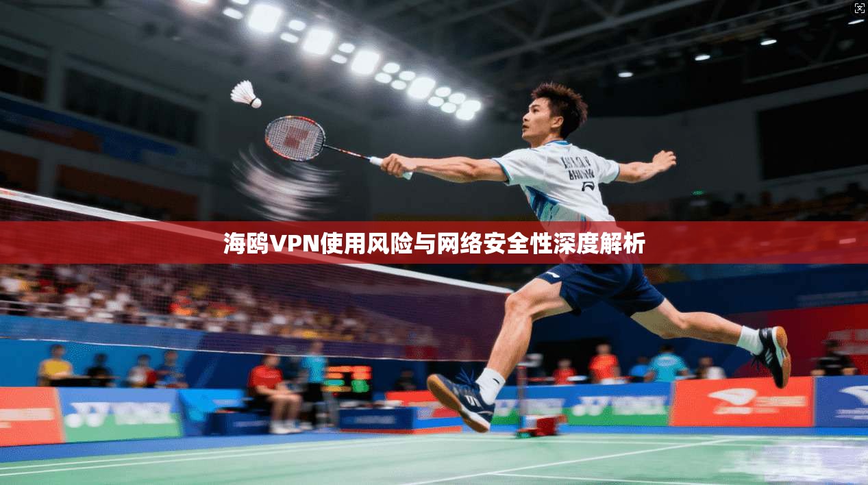 海鸥VPN使用风险与网络安全性深度解析