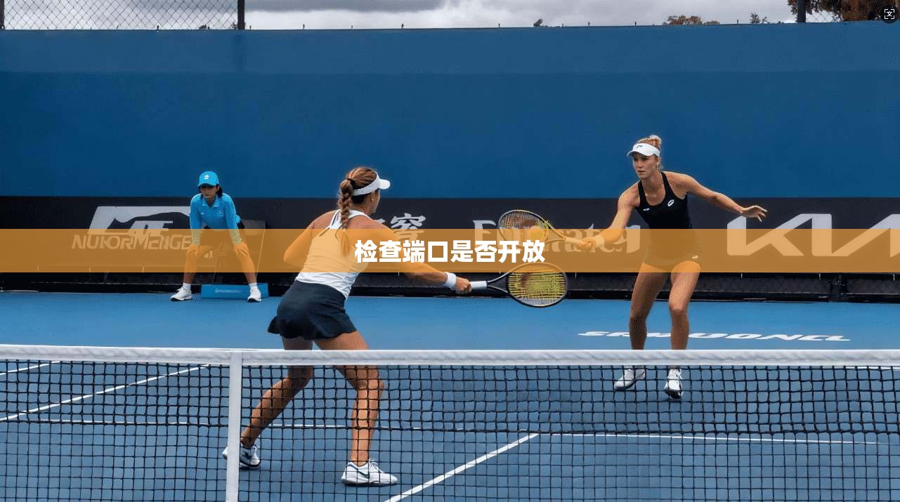 检查端口是否开放
