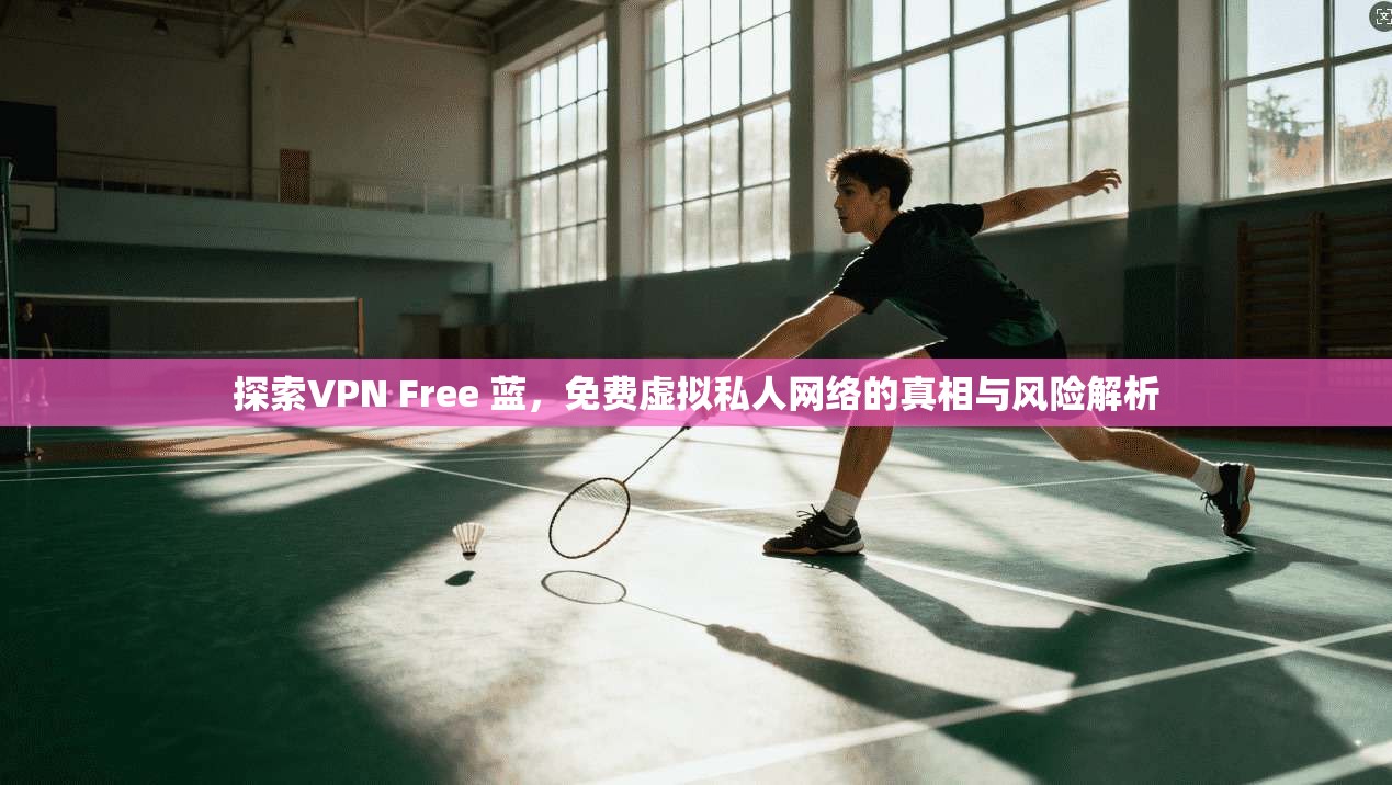 探索VPN Free 蓝，免费虚拟私人网络的真相与风险解析