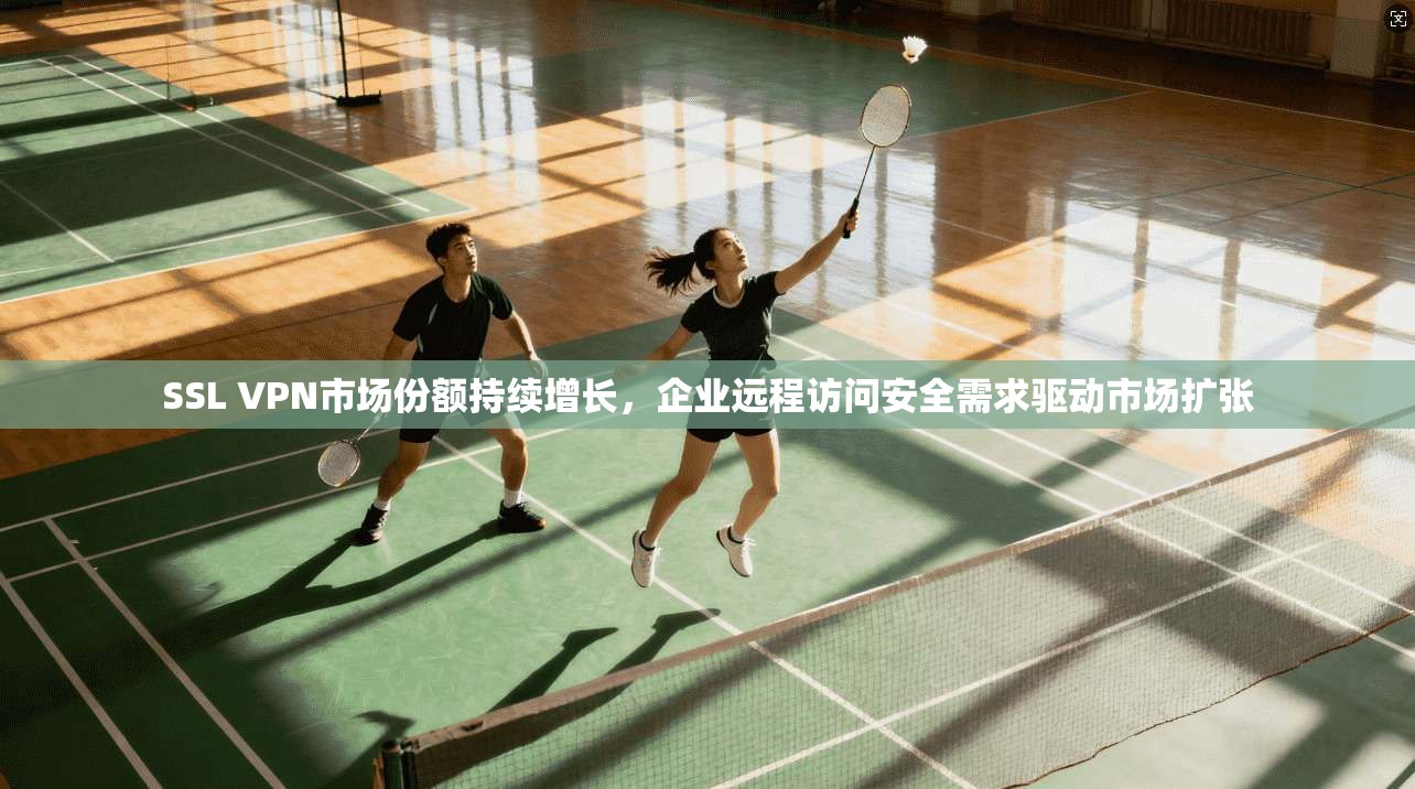 SSL VPN市场份额持续增长，企业远程访问安全需求驱动市场扩张