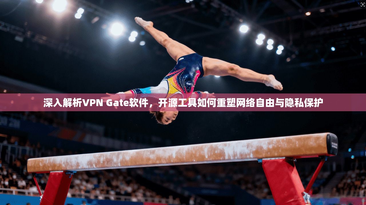 深入解析VPN Gate软件，开源工具如何重塑网络自由与隐私保护