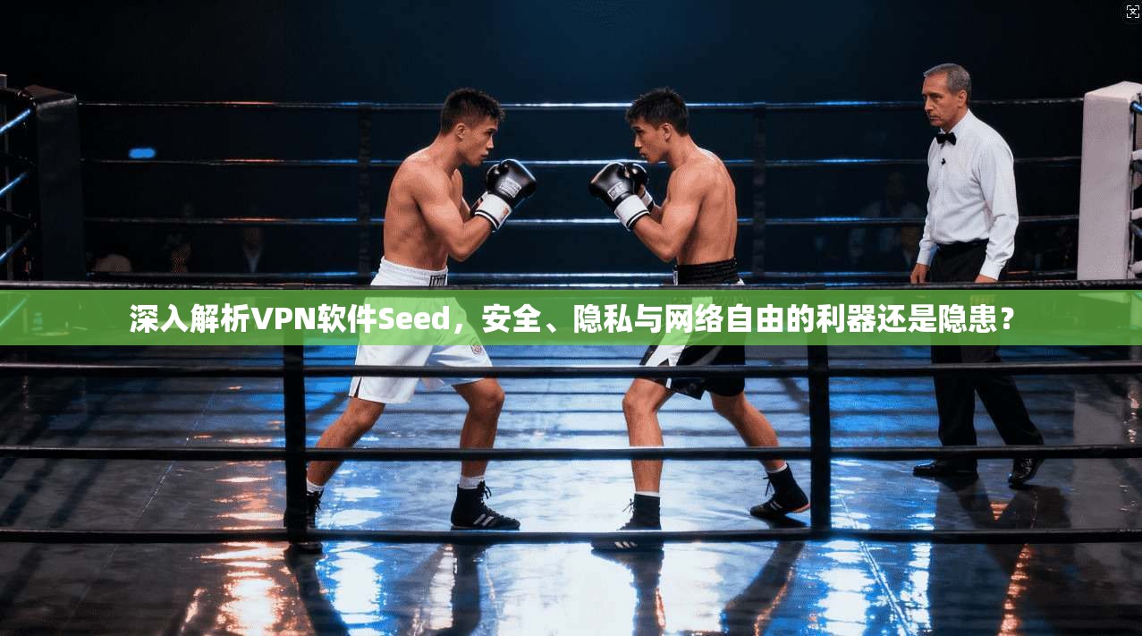 深入解析VPN软件Seed，安全、隐私与网络自由的利器还是隐患？
