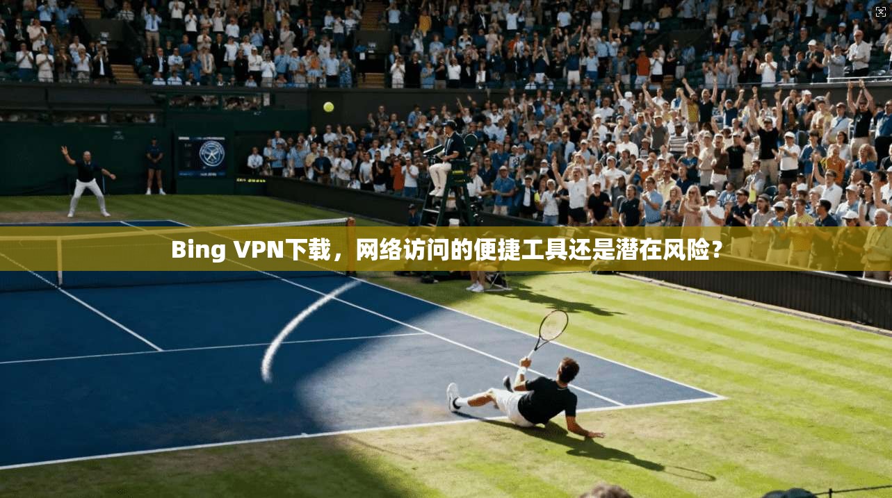 Bing VPN下载，网络访问的便捷工具还是潜在风险？