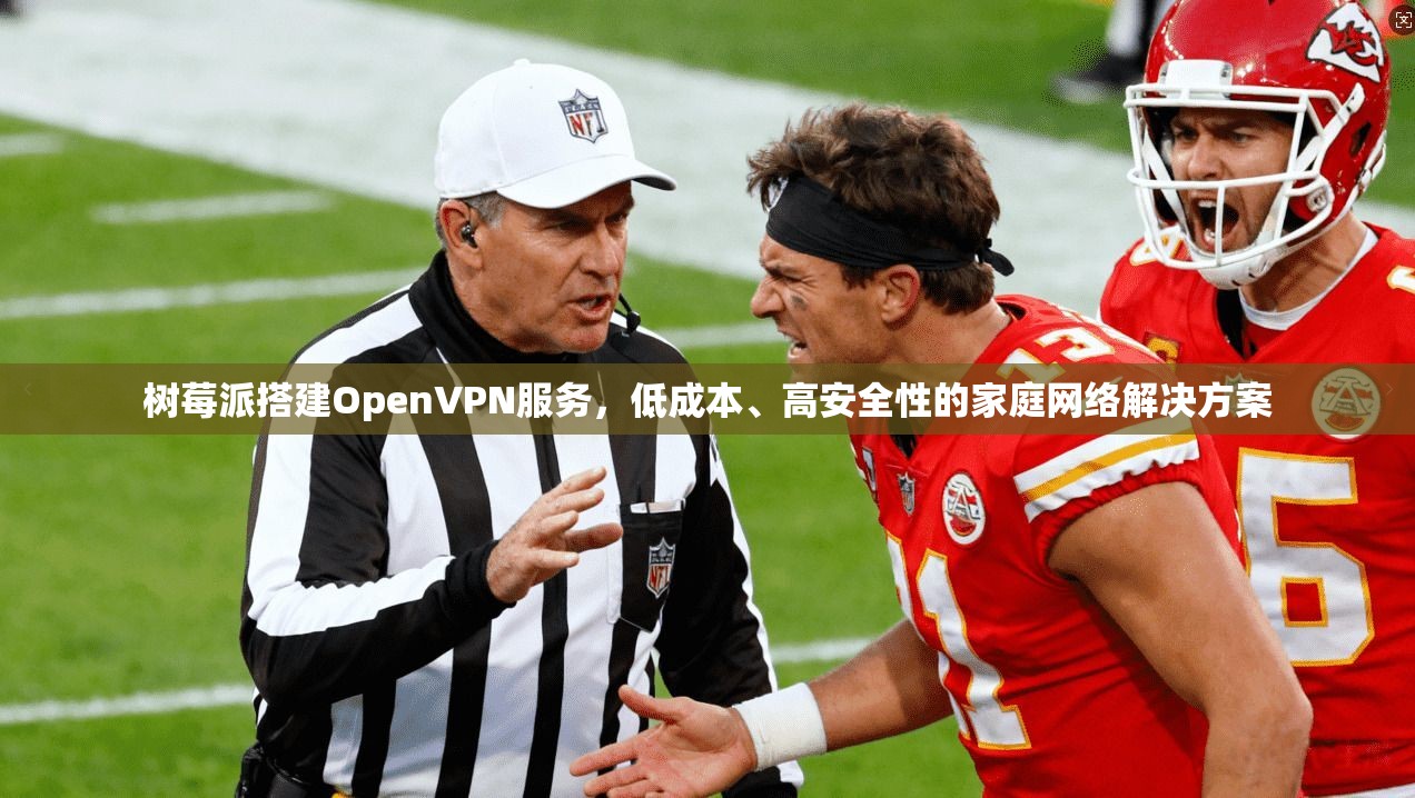 树莓派搭建OpenVPN服务，低成本、高安全性的家庭网络解决方案