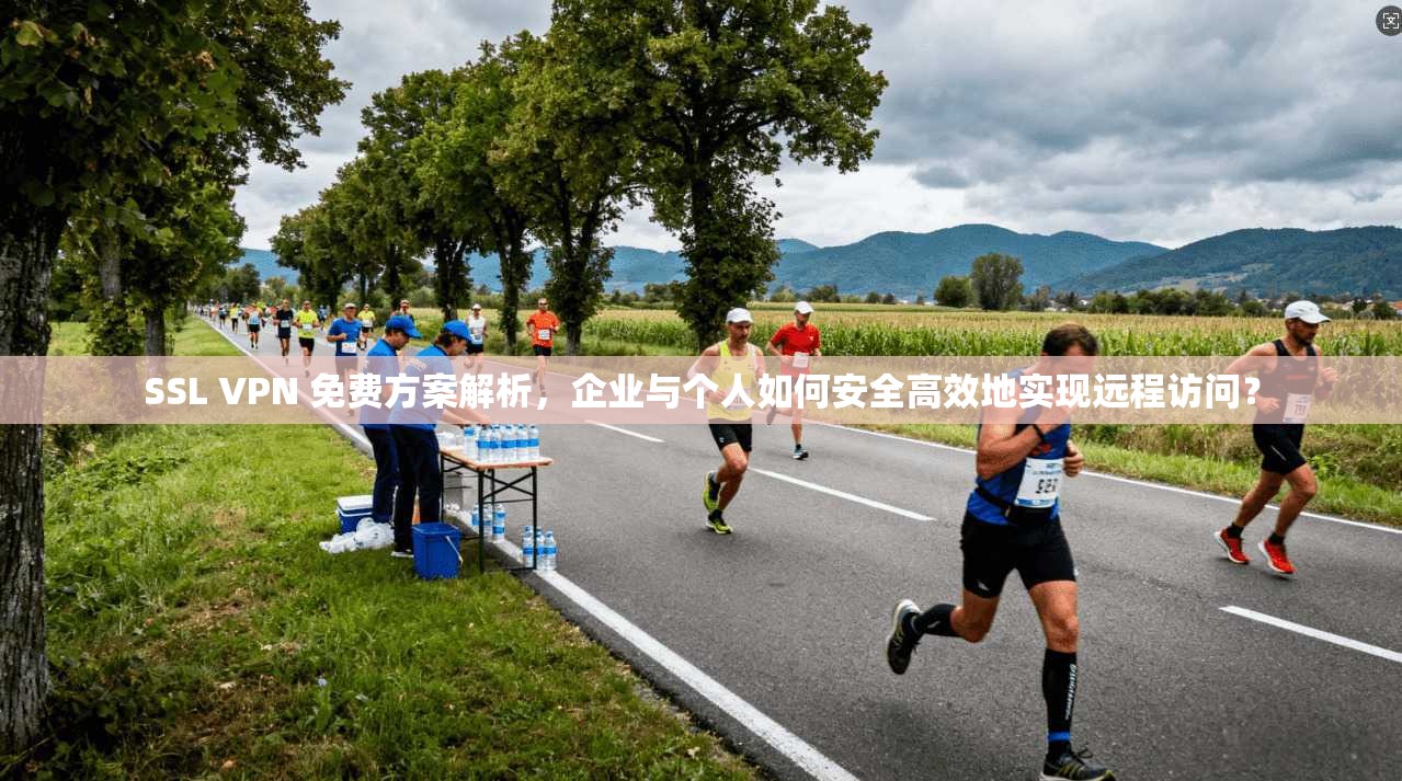 SSL VPN 免费方案解析，企业与个人如何安全高效地实现远程访问？