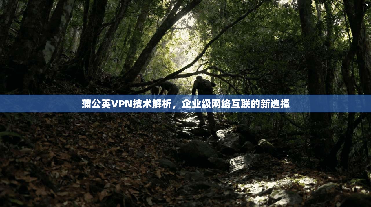 蒲公英VPN技术解析，企业级网络互联的新选择