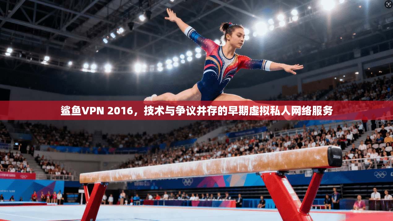 鲨鱼VPN 2016，技术与争议并存的早期虚拟私人网络服务