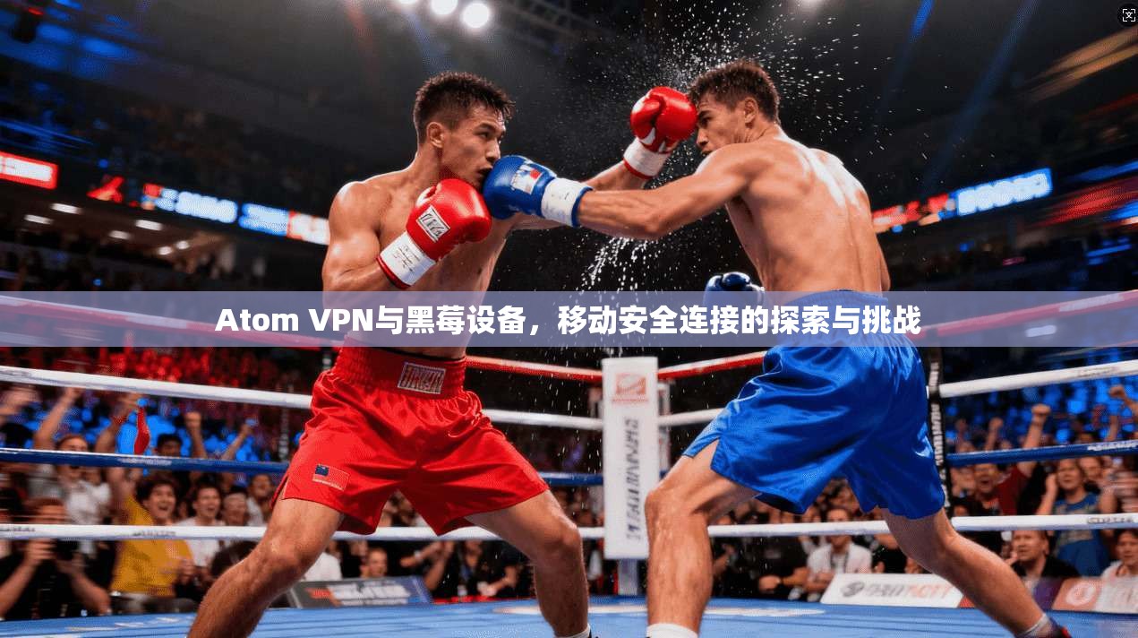 Atom VPN与黑莓设备，移动安全连接的探索与挑战