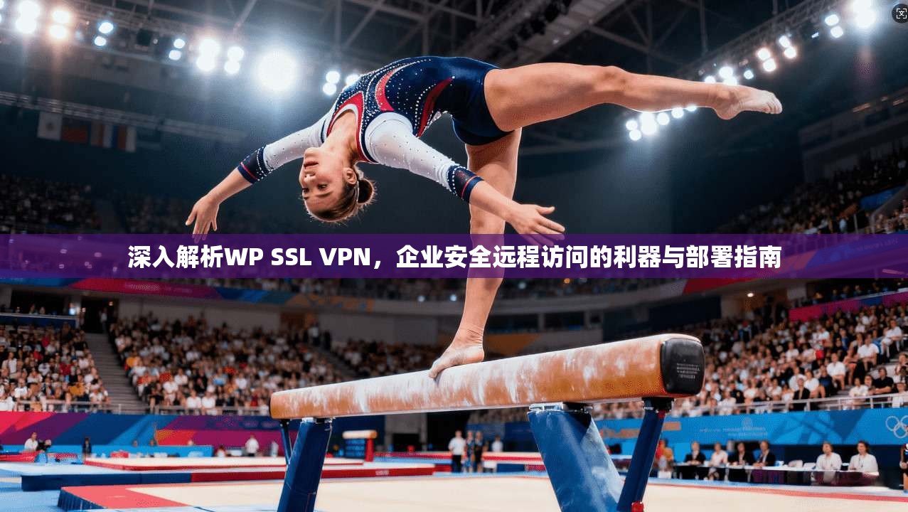 深入解析WP SSL VPN，企业安全远程访问的利器与部署指南