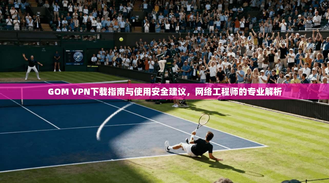 GOM VPN下载指南与使用安全建议，网络工程师的专业解析