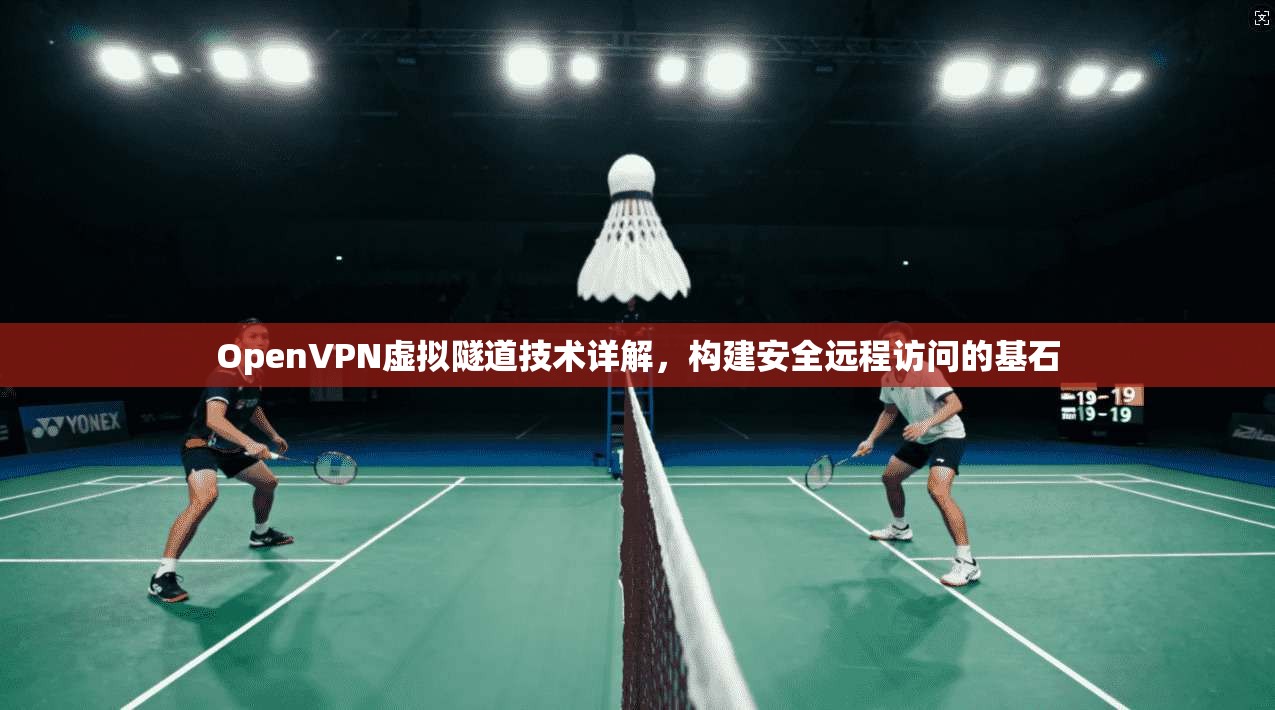 OpenVPN虚拟隧道技术详解，构建安全远程访问的基石