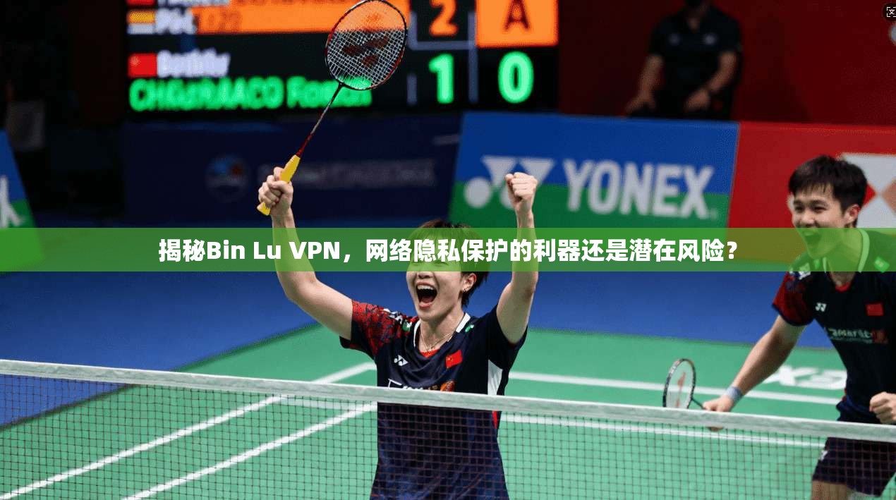 揭秘Bin Lu VPN，网络隐私保护的利器还是潜在风险？