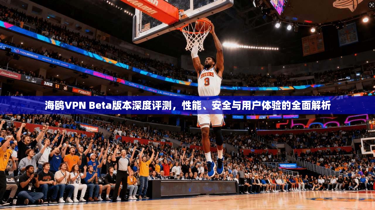 海鸥VPN Beta版本深度评测，性能、安全与用户体验的全面解析