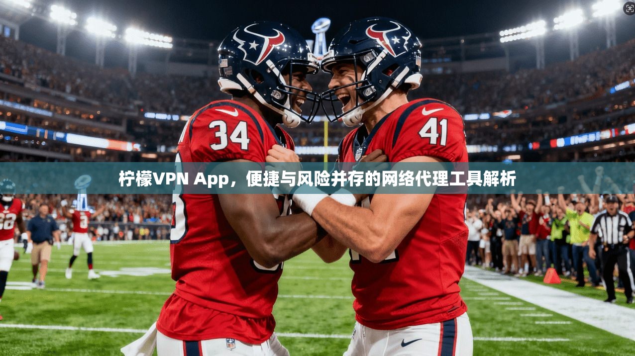 柠檬VPN App，便捷与风险并存的网络代理工具解析