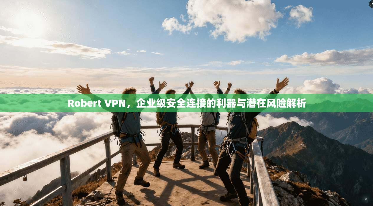 Robert VPN，企业级安全连接的利器与潜在风险解析