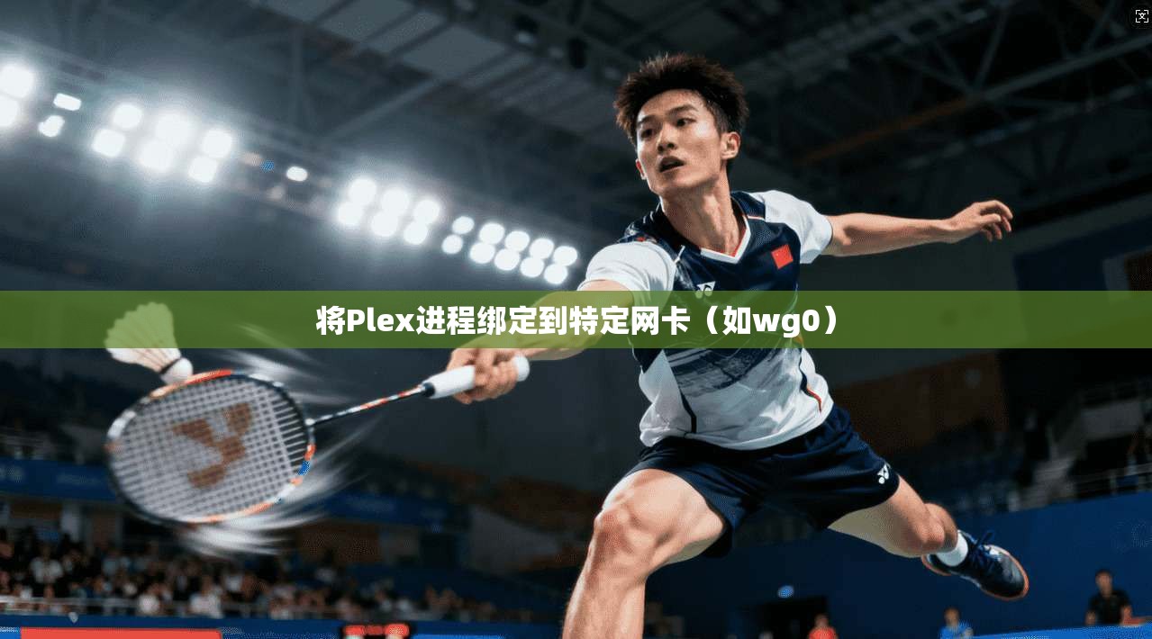 将Plex进程绑定到特定网卡（如wg0）