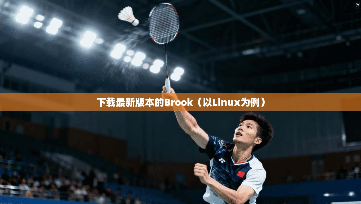 下载最新版本的Brook（以Linux为例）