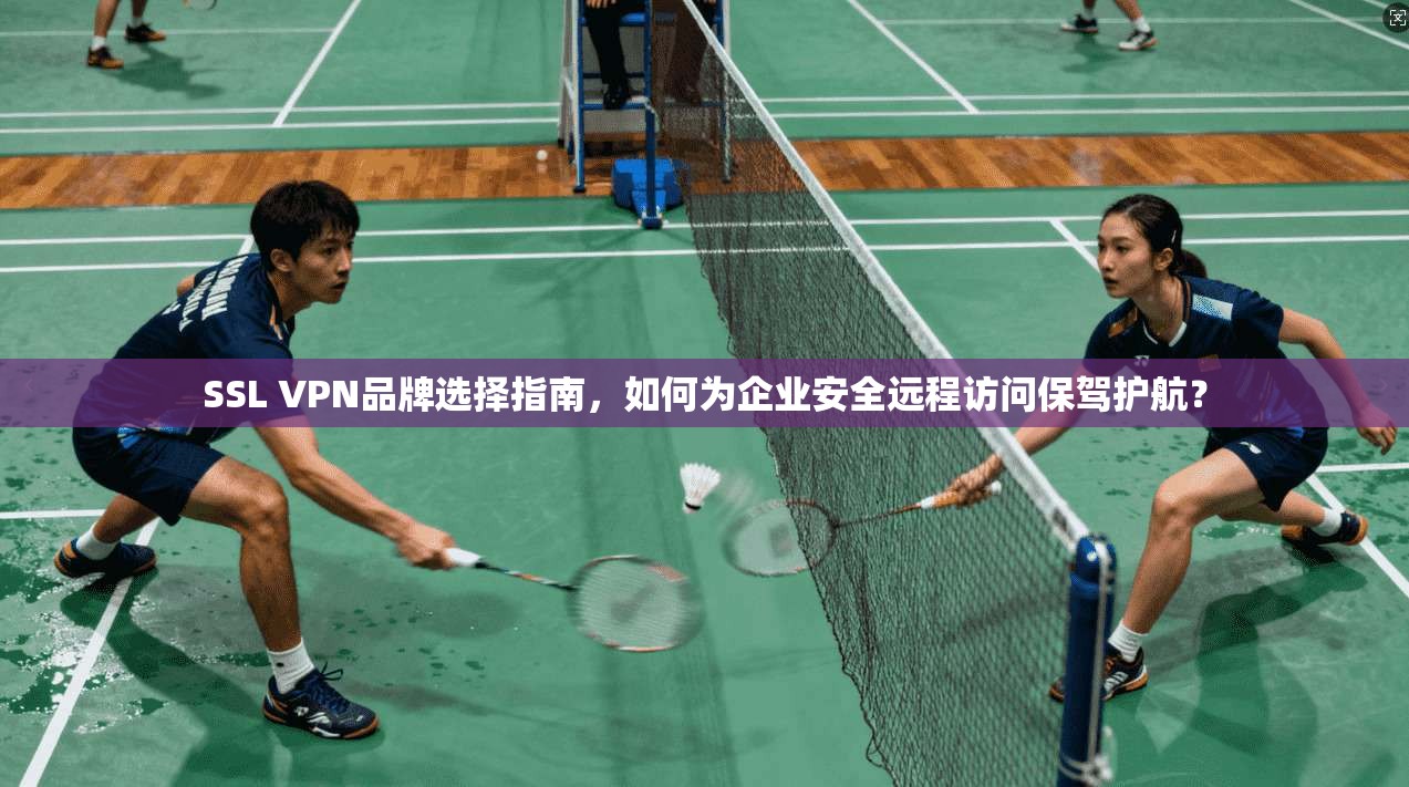 SSL VPN品牌选择指南，如何为企业安全远程访问保驾护航？