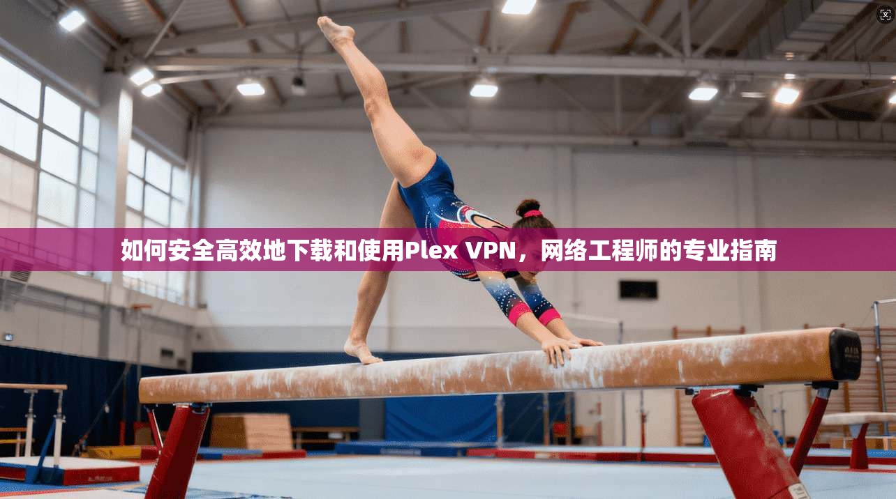 如何安全高效地下载和使用Plex VPN，网络工程师的专业指南