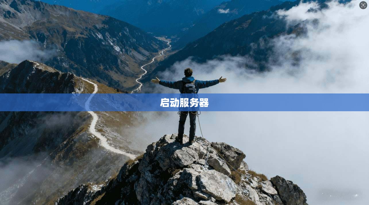 启动服务器