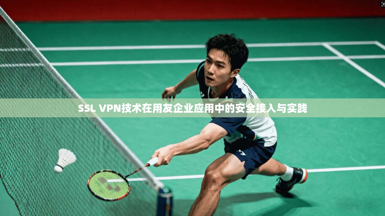 SSL VPN技术在用友企业应用中的安全接入与实践