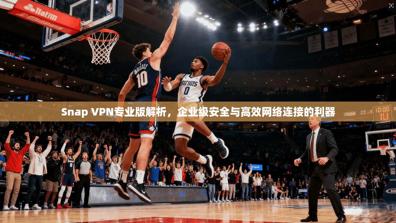 Snap VPN专业版解析，企业级安全与高效网络连接的利器