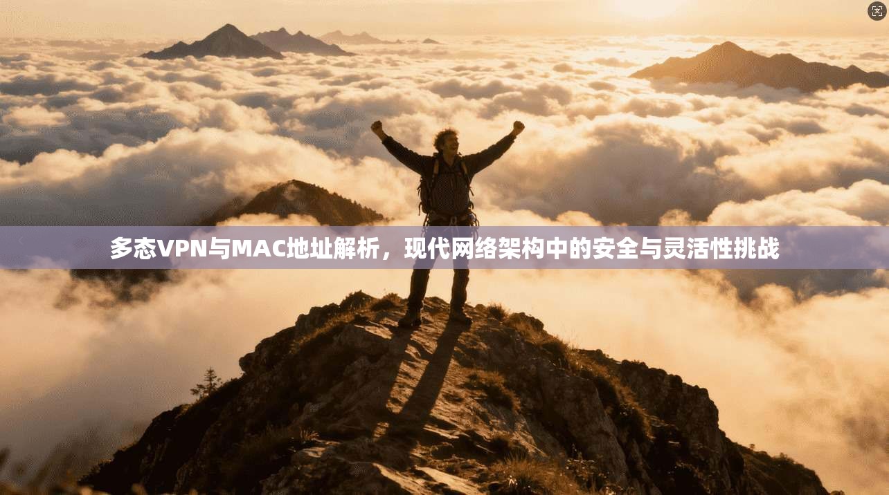 多态VPN与MAC地址解析,现代网络架构中的安全与灵活性挑战