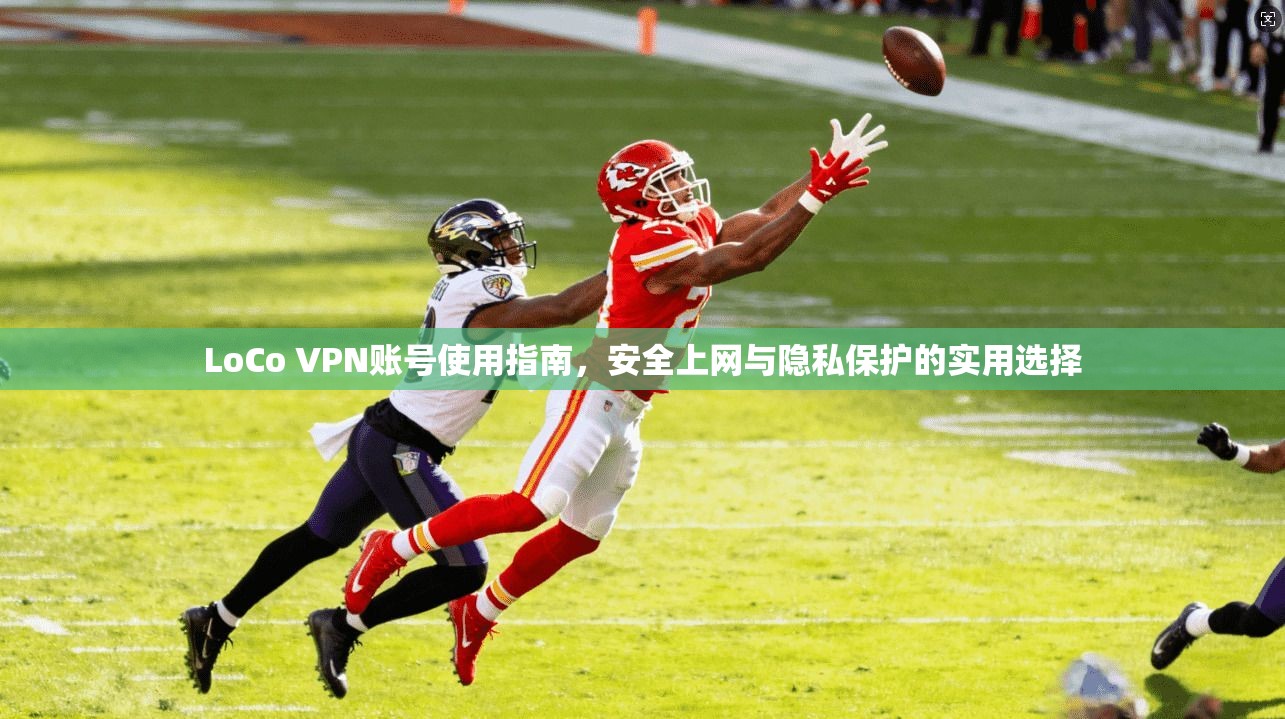 LoCo VPN账号使用指南，安全上网与隐私保护的实用选择