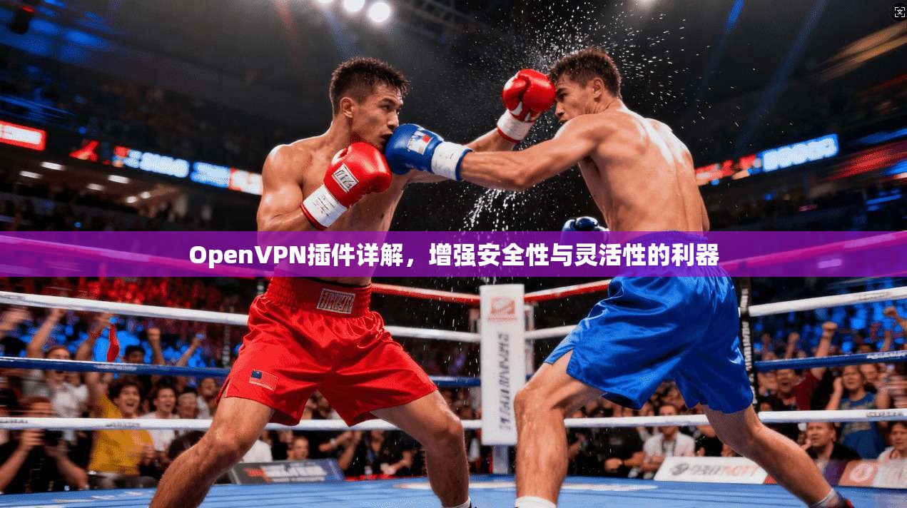OpenVPN插件详解，增强安全性与灵活性的利器