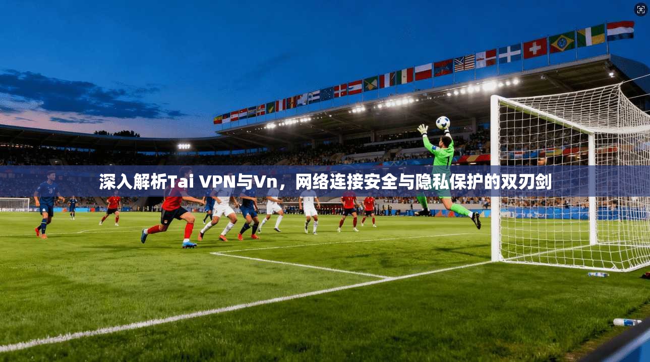 深入解析Tai VPN与Vn，网络连接安全与隐私保护的双刃剑