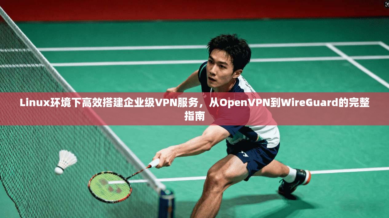 Linux环境下高效搭建企业级VPN服务,从OpenVPN到WireGuard的完整指南
