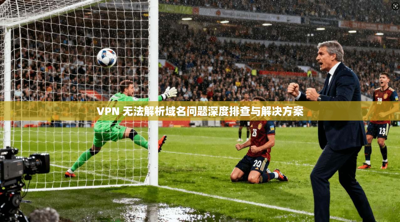 VPN 无法解析域名问题深度排查与解决方案