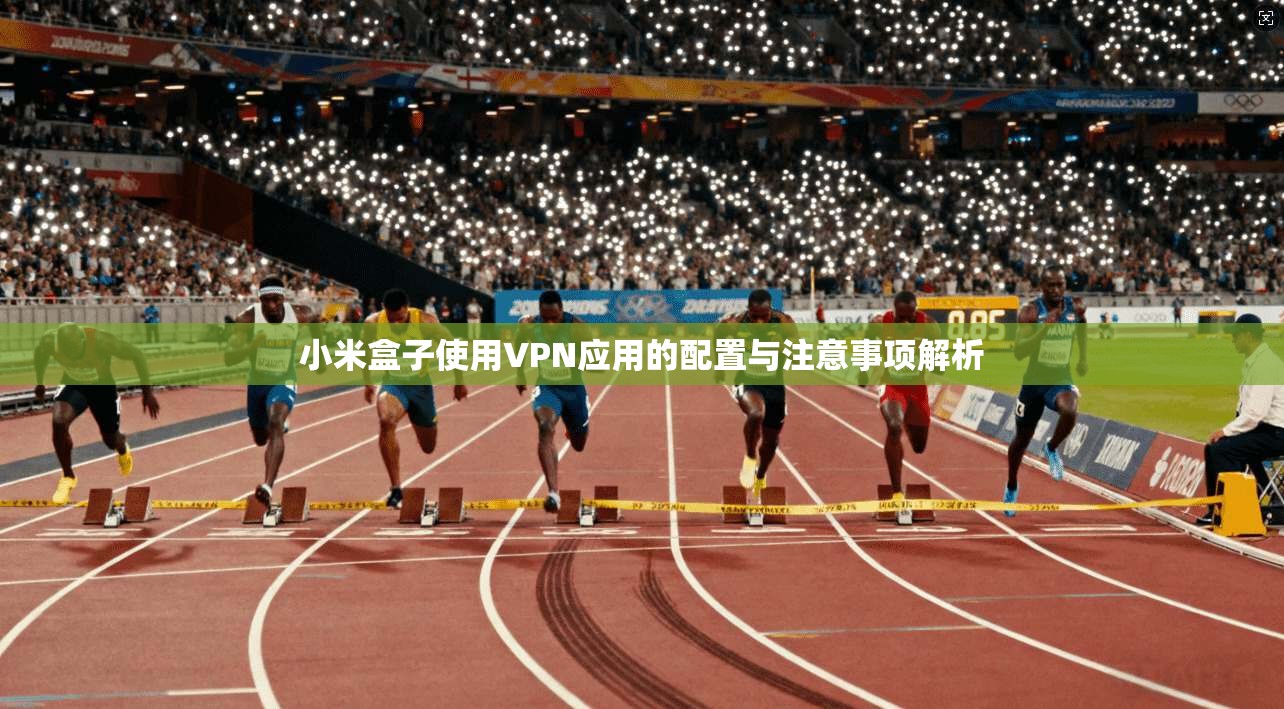 小米盒子使用VPN应用的配置与注意事项解析