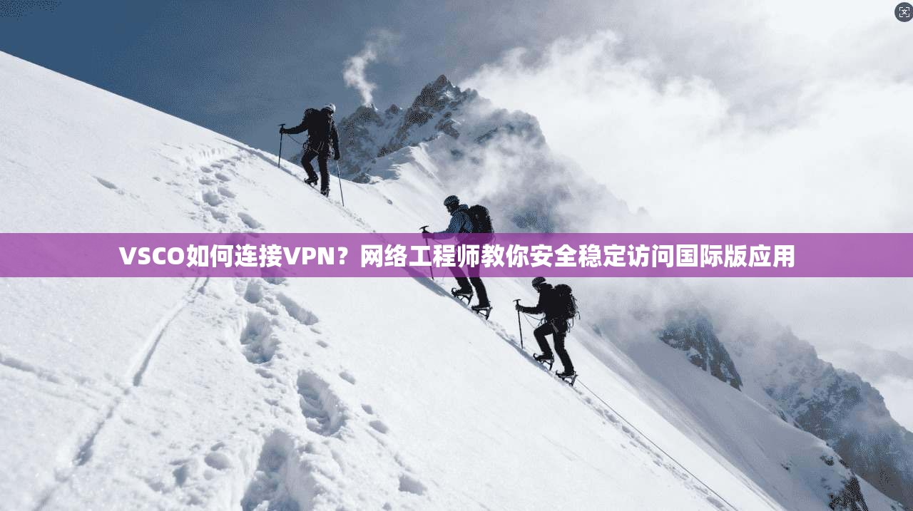 VSCO如何连接VPN？网络工程师教你安全稳定访问国际版应用