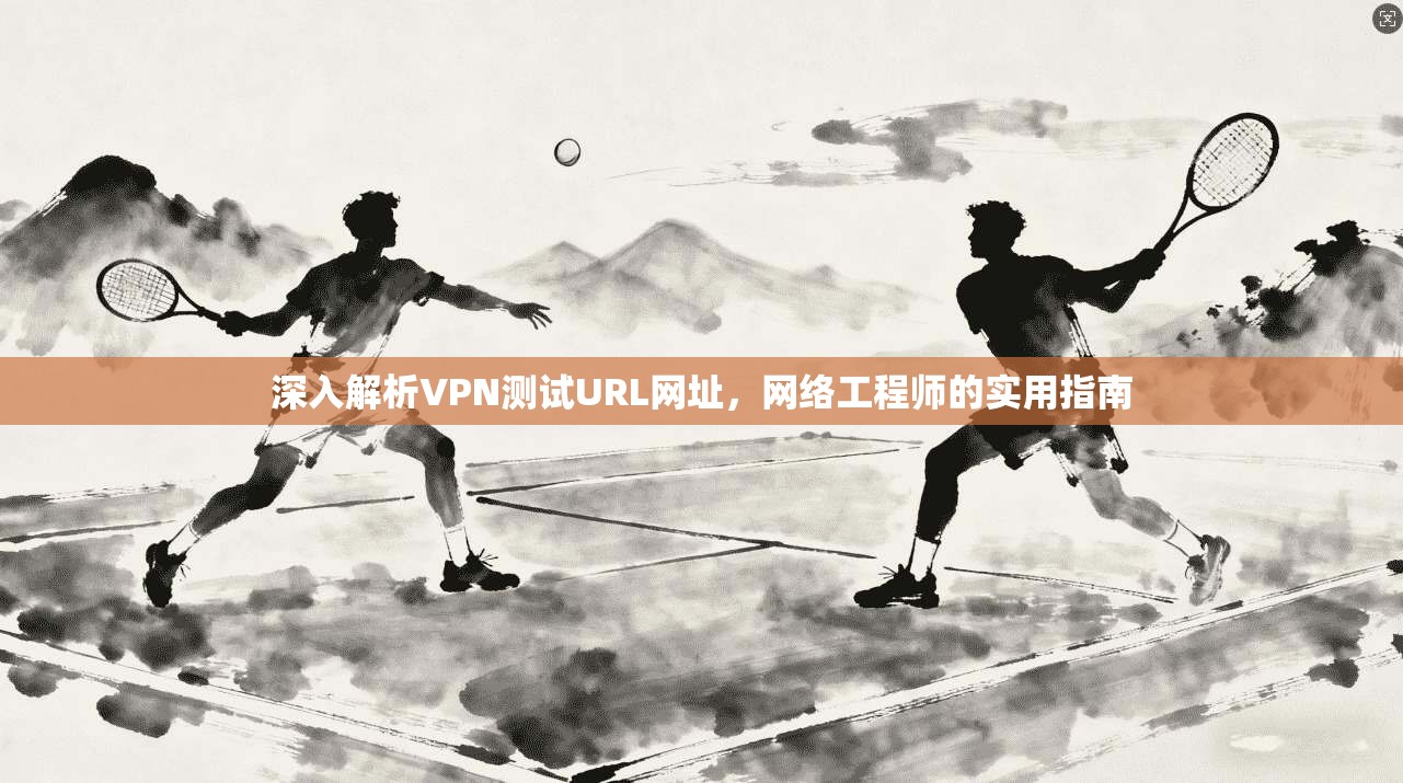 深入解析VPN测试URL网址，网络工程师的实用指南