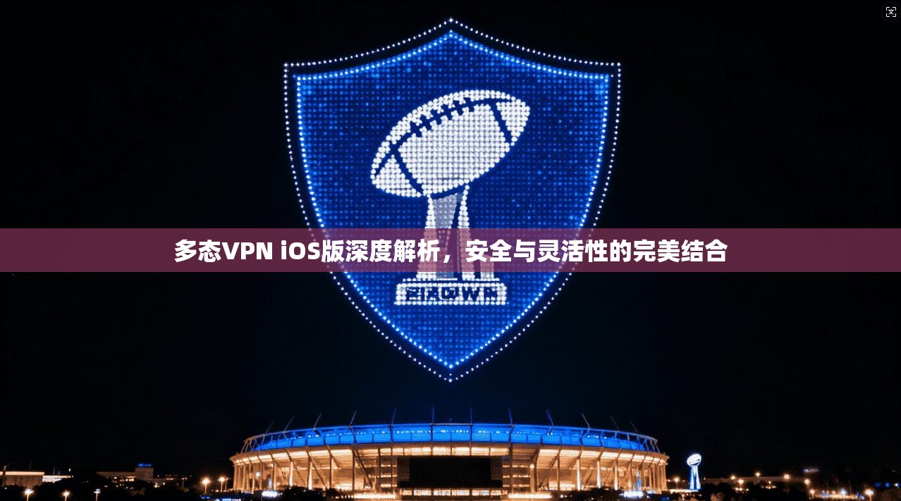 多态VPN iOS版深度解析，安全与灵活性的完美结合