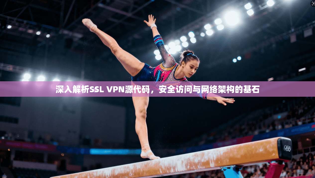 深入解析SSL VPN源代码，安全访问与网络架构的基石