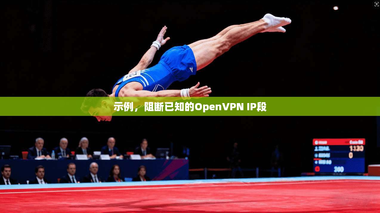 示例，阻断已知的OpenVPN IP段