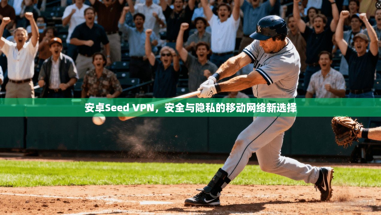 安卓Seed VPN，安全与隐私的移动网络新选择