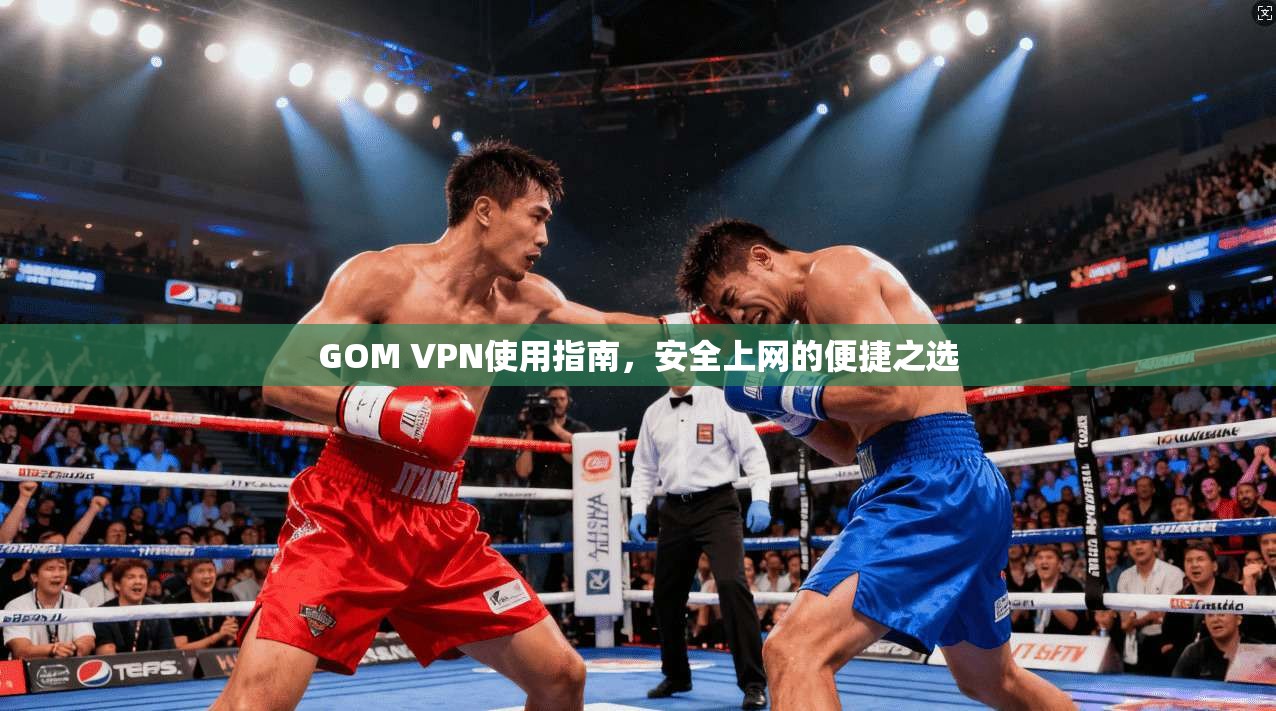 GOM VPN使用指南，安全上网的便捷之选