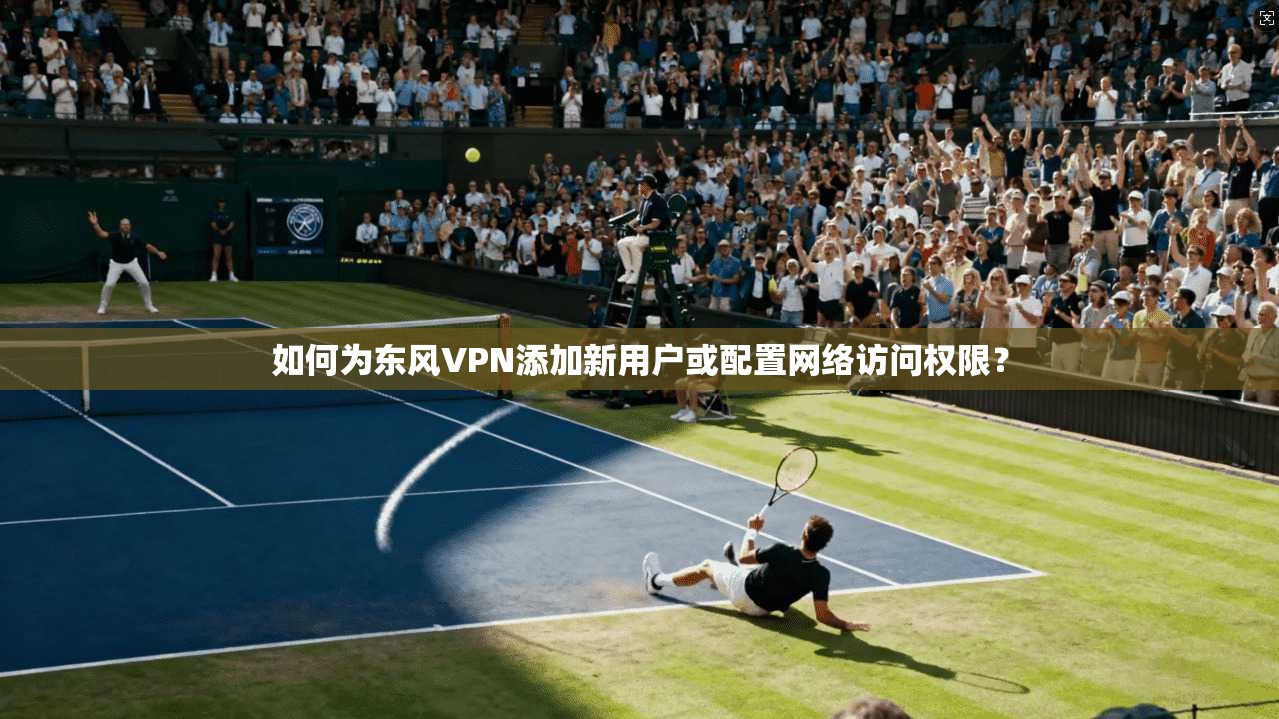 如何为东风VPN添加新用户或配置网络访问权限？