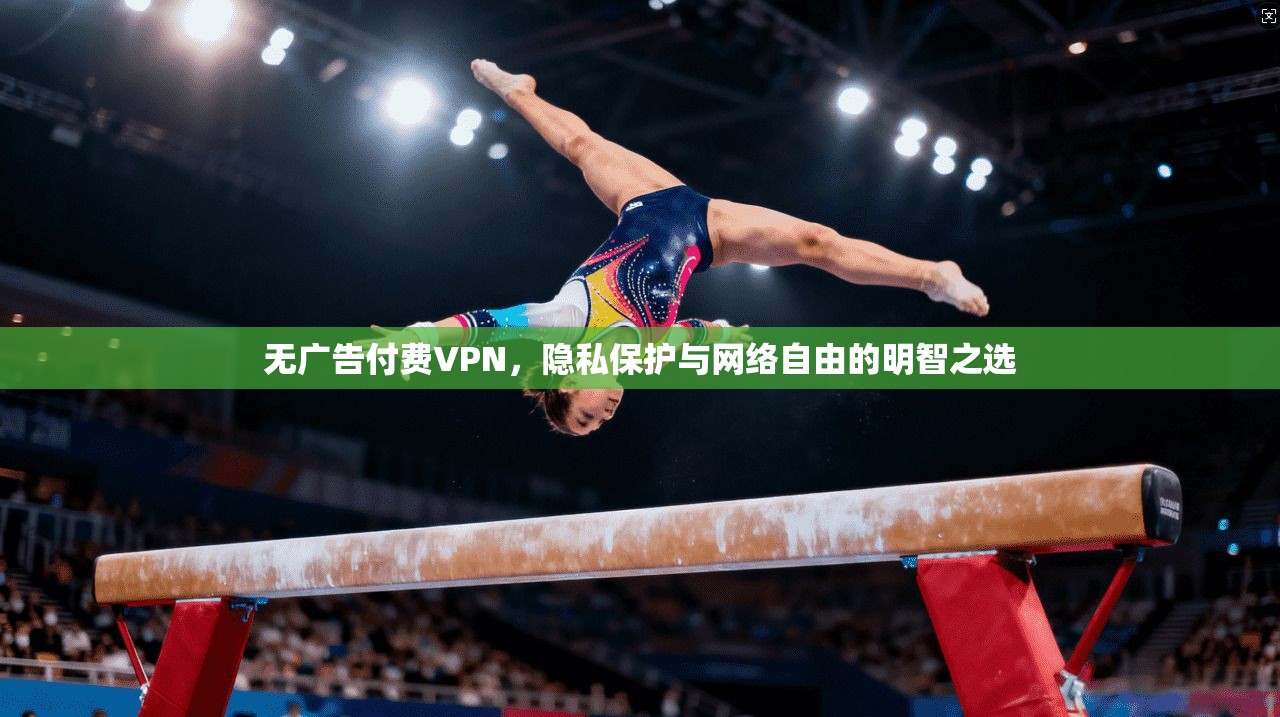 无广告付费VPN，隐私保护与网络自由的明智之选