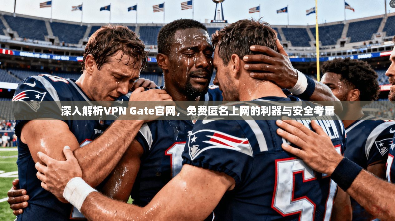 深入解析VPN Gate官网，免费匿名上网的利器与安全考量