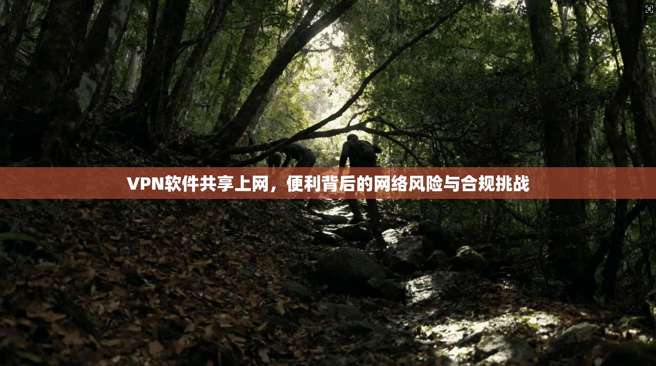 VPN软件共享上网，便利背后的网络风险与合规挑战