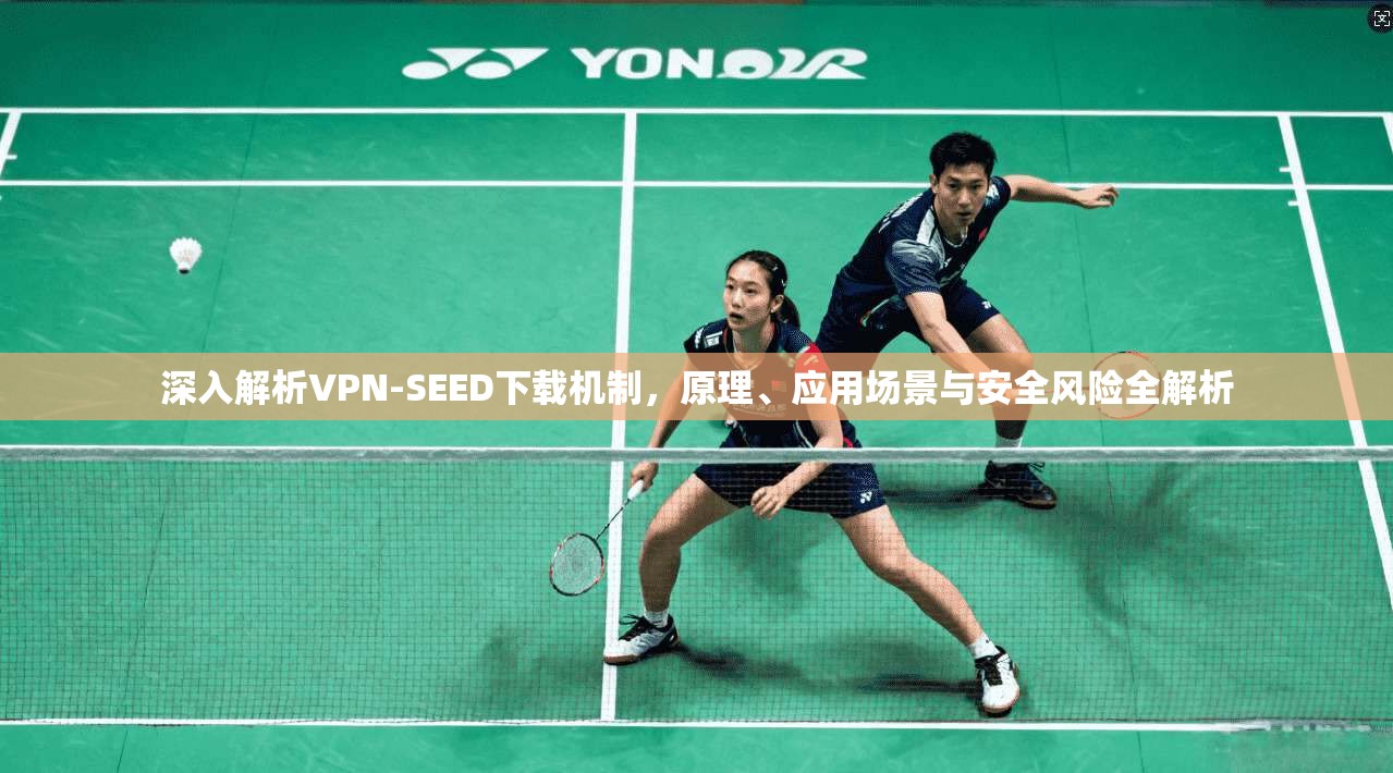 深入解析VPN-SEED下载机制，原理、应用场景与安全风险全解析