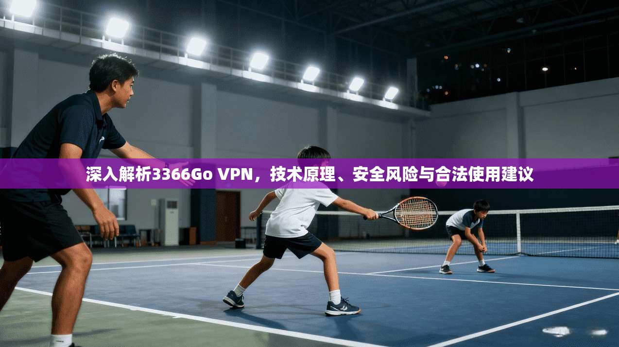 深入解析3366Go VPN，技术原理、安全风险与合法使用建议