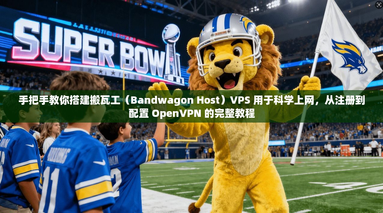 手把手教你搭建搬瓦工（Bandwagon Host）VPS 用于科学上网，从注册到配置 OpenVPN 的完整教程