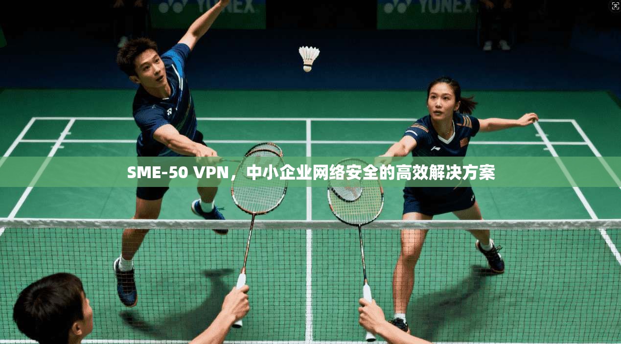 SME-50 VPN，中小企业网络安全的高效解决方案