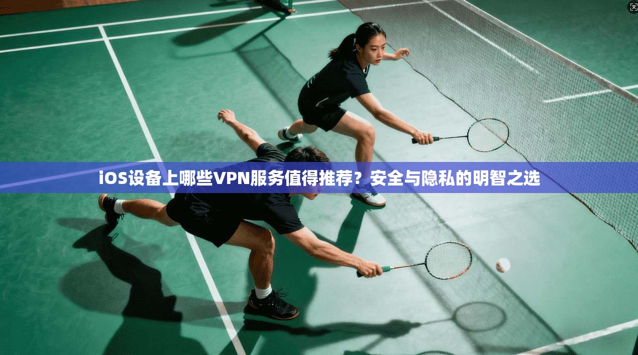 iOS设备上哪些VPN服务值得推荐？安全与隐私的明智之选