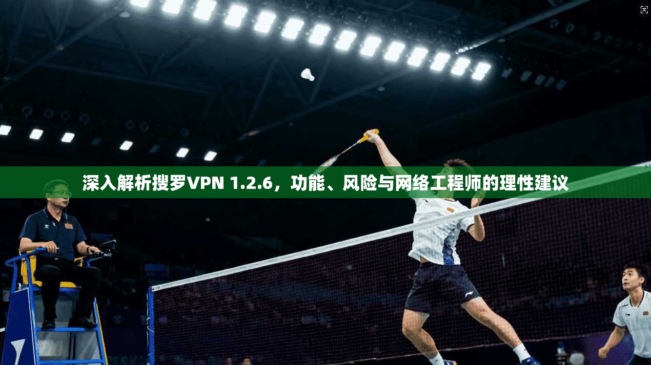 深入解析搜罗VPN 1.2.6，功能、风险与网络工程师的理性建议